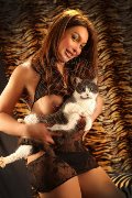Foto Alessa Venezuelana Annunci Escort Verbania 3533541305 - 34