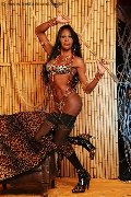 Foto Alessandra Gatta Nera Annunci Trans Vercelli 3488811524 - 50