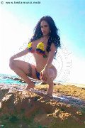 Foto Alessandra Xxii Annunci Transescort Gallarate 3317852006 - 47