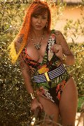 Foto Allana Annunci Transescort Riccione 3318788751 - 63