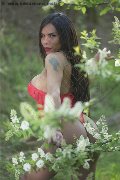 Foto Angell Annunci Trans Cinisello Balsamo 3339242519 - 4