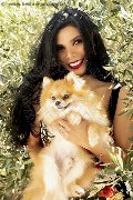Foto Ariadna Annunci Transescort Bologna 3887519396 - 76