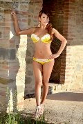 Foto Ariadna D'alessandro Annunci Transescort Perugia 3925046434 - 83