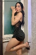 Foto Arielli Collins Annunci Transescort 3533891489 - 1