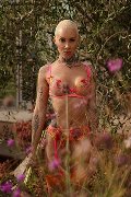 Foto Ath�na Annunci Transescort Milano 3270729765 - 2