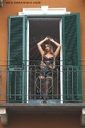 Foto Bia Almeida Annunci Trans Verbania 3487642767 - 143