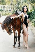 Foto Biancaladyboy Annunci Transescort Pordenone 3932233064 - 6