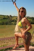 Foto Bruna Xxl Annunci Transescort Parma 3295914684 - 6