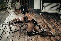 Foto Campbell Annunci Transescort Padova 3933357541 - 150