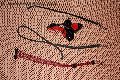 Foto Catadeya Annunci Mistresstrans Bologna 3387905590 - 52