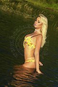 Foto Chanelle Annunci Transescort Brescia 3420016967 - 101