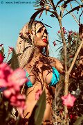Foto Chrystal Medeiros Pornostar Annunci Transescort Roma 3898313619 - 35