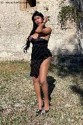 Foto Delizia Malizia Annunci Trans Livorno 3511575349 - 2