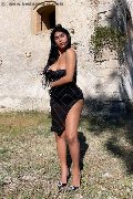 Foto Delizia Malizia Annunci Trans Livorno 3511575349 - 3