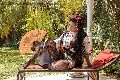 Foto Diana Ferraz Annunci Trans Altopascio 3271287566 - 103