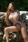 Foto Erotika Flavy Star Annunci Transescort Reggio Emilia 3387927954 - 72