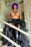 Foto Erotika Flavy Star Annunci Transescort Reggio Emilia 3387927954 - 84