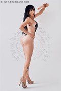 Foto Estefani Annunci Transescort Reggio Calabria 3463594192 - 3