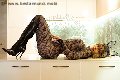 Foto Fernanda Ambrosio Annunci Trans Milano 3277803350 - 17