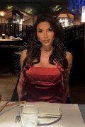 Foto Gabriela Lemos Annunci Transescort Verona 3932598874 - 1
