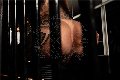 Foto Hot Bruna Xxl Annunci Trans Parma 3295914684 - 3