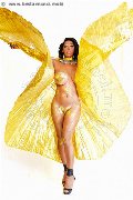 Foto Hot Channel Annunci Trans Pavia 3384097317 - 2