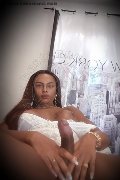 Foto Hot Ivy Muller Annunci Transescort Bergamo 3279251190 - 5