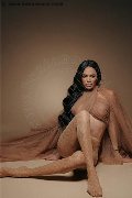 Foto Keylla Marques Pornostar Xxl Annunci Trans Fortaleza 3337112655 - 14
