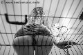 Foto Lady Giuliette Annunci Mistress Verona 3486833721 - 16