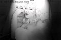 Foto Mary Ts Annunci Trans Francoforte 00491751281117 - 7