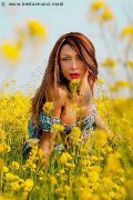 Foto Monica Kicelly Annunci Trans Parma 3245833097 - 208
