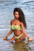 Foto Paula Xxl Annunci Transescort Milano 3762961336 - 27