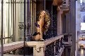 Foto Rayca Annunci Trans San Gallo 3485638746 - 256