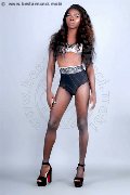 Foto Safira Snt'z  Annunci Trans Alba Adriatica 3278243596 - 46