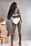 Foto Safira Snt'z  Annunci Trans Alba Adriatica 3278243596 - 68