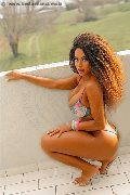 Foto Sandra Ravach Annunci Trans Reggio Emilia 3341547195 - 20