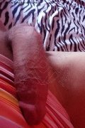 Isernia Trans Escort Alessandra Dior 371 52 12 112 foto selfie 88