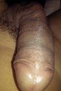Prato Trans Escort Bruna Lopez 331 33 46 581 foto selfie 92