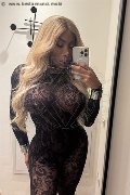Padova Trans Campbell 393 33 57 541 foto selfie 15