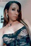 Legnano Trans Escort Leyla 338 33 98 084 foto selfie 42
