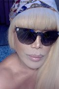Milano Trans Escort Nicole Vip Venturiny 353 35 38 868 foto selfie 787