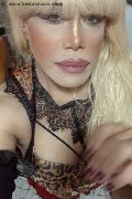 Milano Trans Escort Nicole Vip Venturiny 353 35 38 868 foto selfie 565