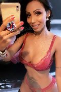 Gallarate Trans Escort Thayys Castro 329 72 89 046 foto selfie 100