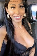 Gallarate Trans Escort Thayys Castro 329 72 89 046 foto selfie 98