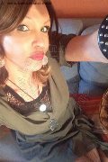 Treviso Trans Valeria 338 87 18 849 foto selfie 720
