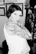 Treviso Trans Valeria 338 87 18 849 foto selfie 572