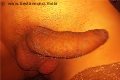 Napoli Trans Vittoria Mazza 334 77 63 969 foto selfie 17