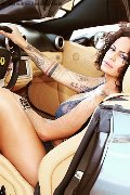Foto Serena Annunci Trans Bologna 3271309016 - 19