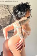 Foto Serena Annunci Transescort Bologna 3271309016 - 6