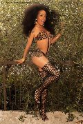 Foto Tamisca Safada Annunci Transescort Legnano 3270654407 - 95